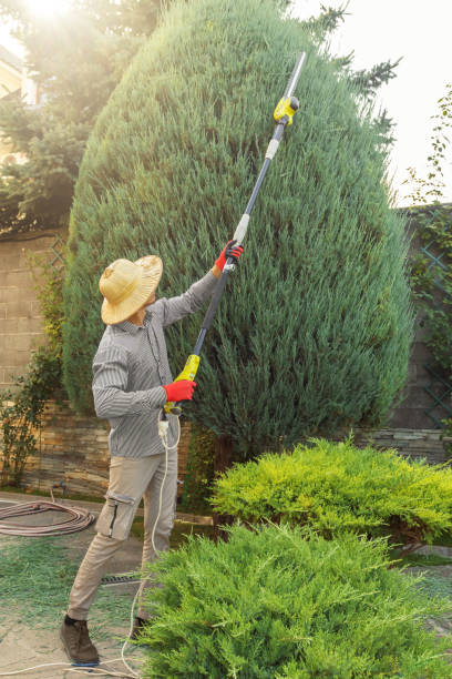 Best Lawn Watering Services  in USA